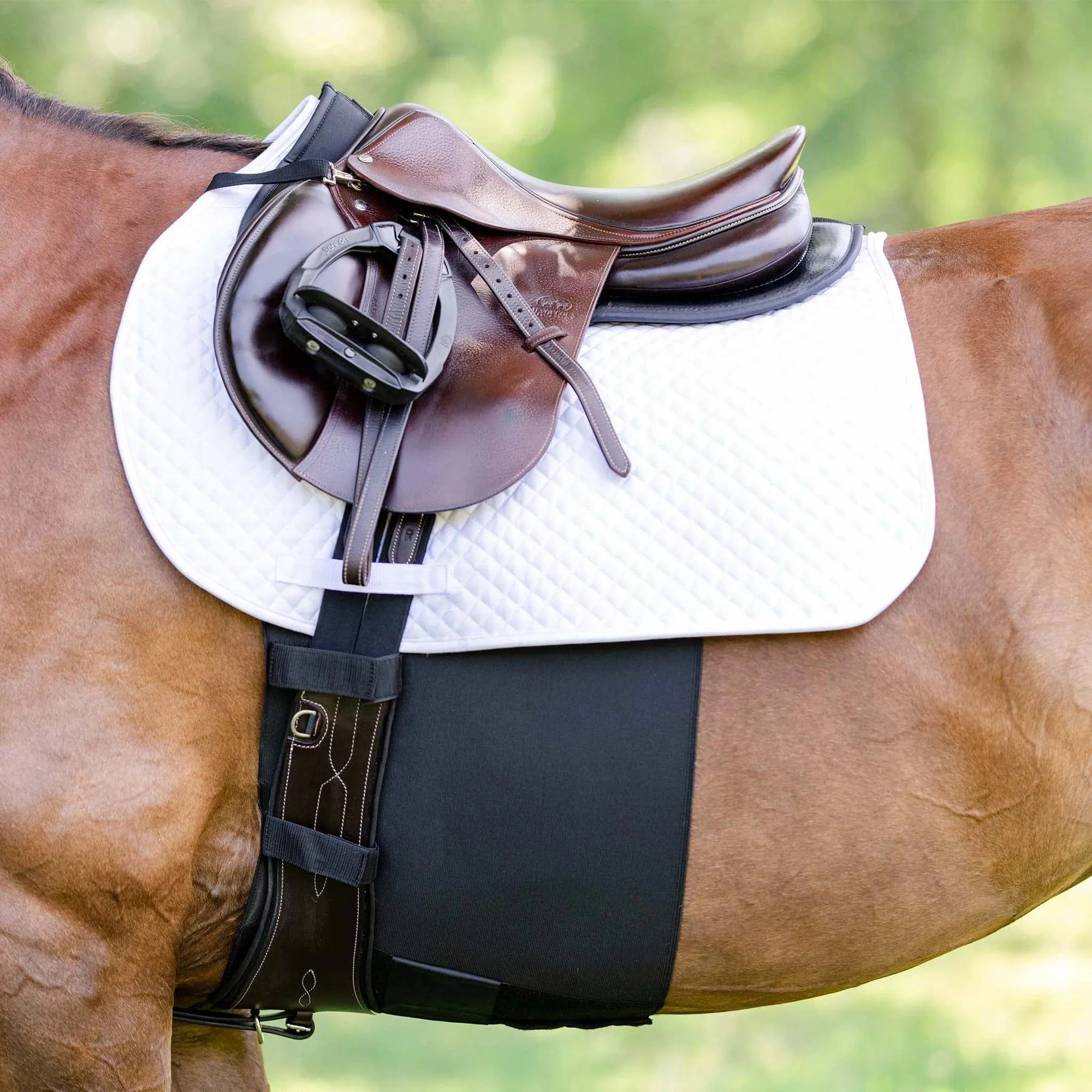 EquiFit BellyBand 