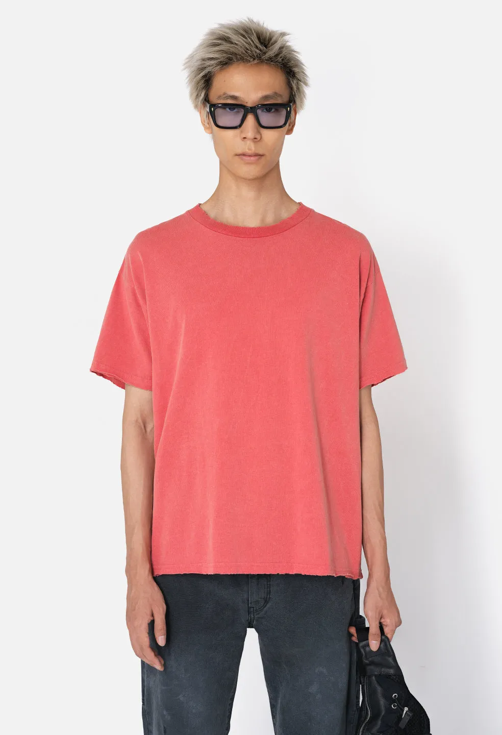 Folsom Cropped Tee / Idaho